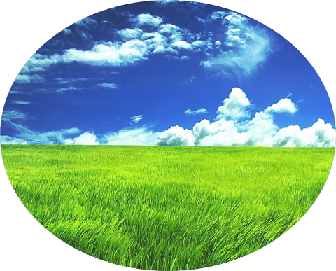 f0356525_20353695.png