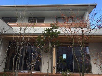 b0131526_2153641.jpg