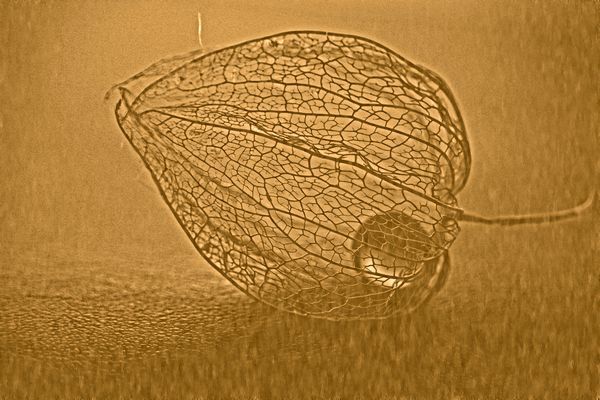 c0104227_00073378.jpg