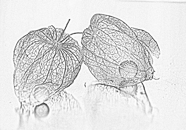 c0104227_00081967.jpg