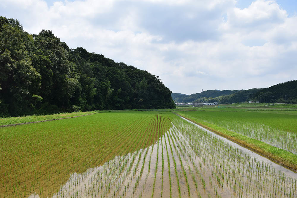 三木合戦ゆかりの地めぐり その42 ~山下城跡~_e0158128_21384760.jpg