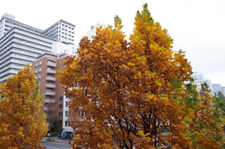 f0132230_153413.jpg