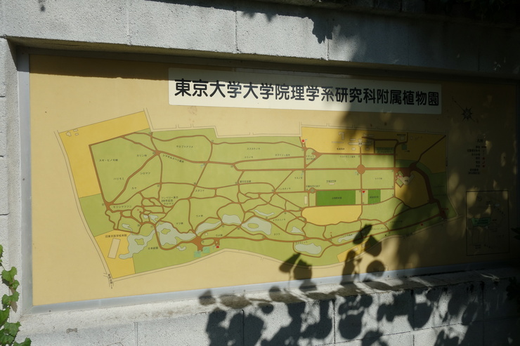 a0287336_19372286.jpg
