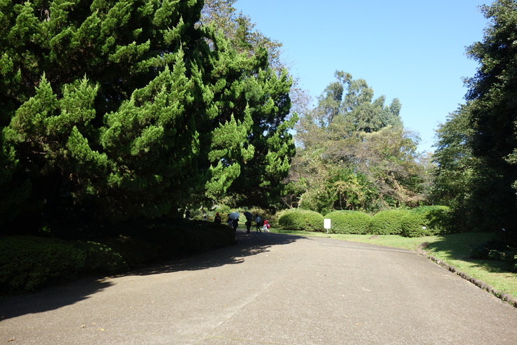 a0287336_1939529.jpg