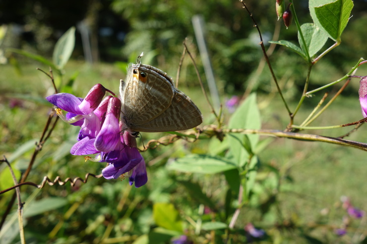a0287336_2004390.jpg