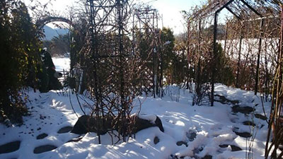 a0276937_2115145.jpg