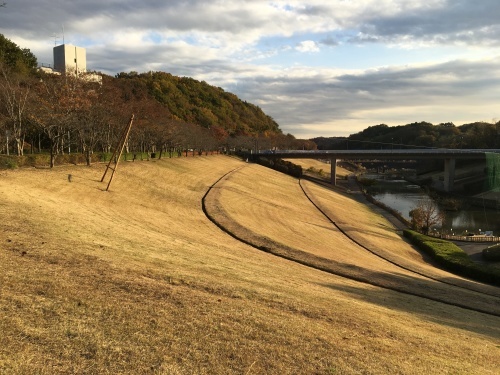 厚木市森の里の若宮公園_b0330040_22572440.jpg