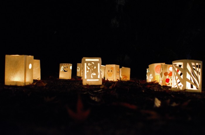 ”蓮光寺～紅葉ライトアップ...11/29tue\"_d0153941_18035239.jpg