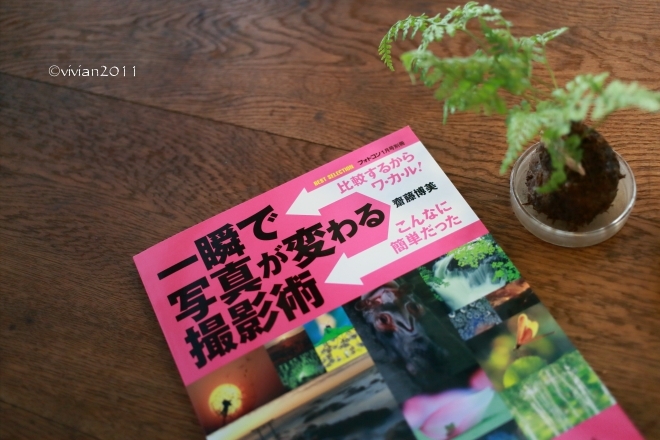 KALEIDO COFFEE(カレイド コーヒー) ~隠れていないけれど隠れ家のようなコーヒー店~_e0227942_22021329.jpg