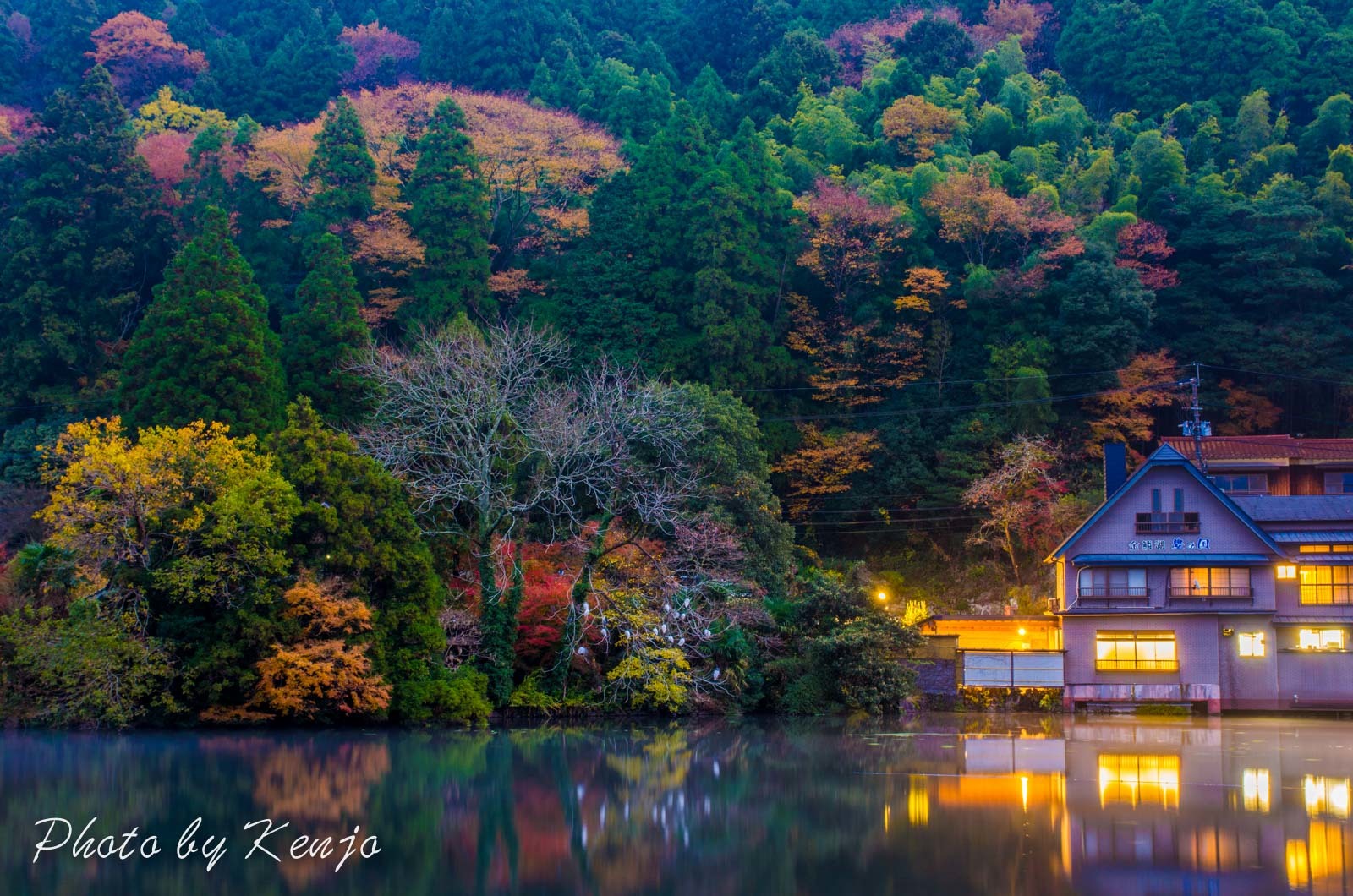 湯布院・金鱗湖_a0323543_23151277.jpg