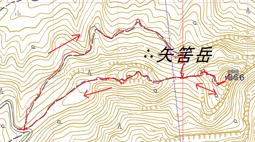 e0164643_1773779.jpg