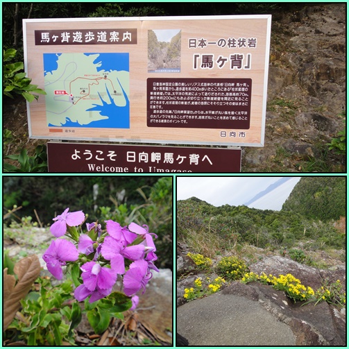 e0164643_22585790.jpg