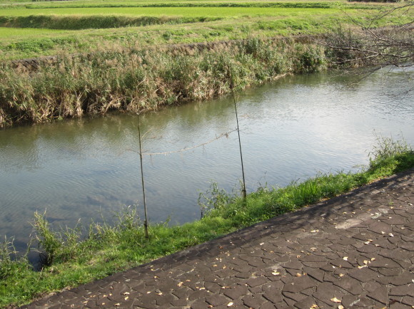 a0237545_00133726.jpg