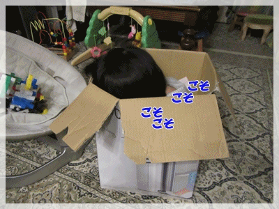 b0254145_2313646.gif