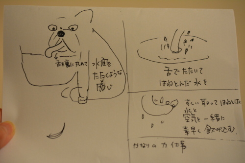 b0307951_23395000.jpg