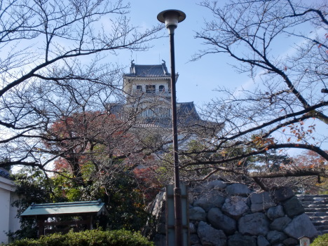 d0154954_09451110.jpg