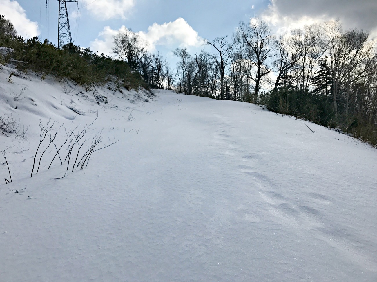 e0105954_1651929.jpg