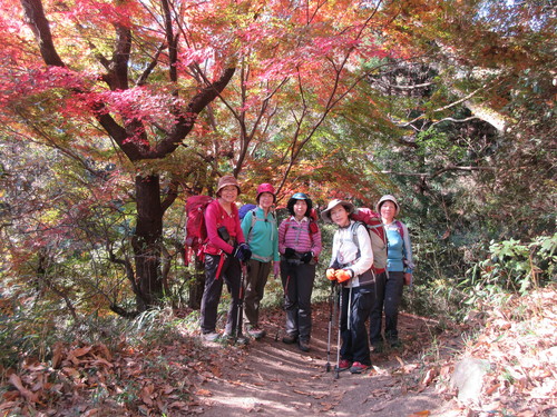 2016年11月26日　研修部登山　六甲全山縦走_e0245655_621128.jpg