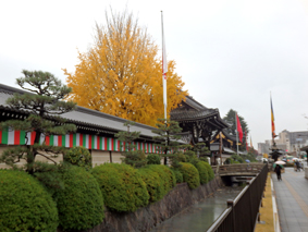 d0218056_2038227.jpg