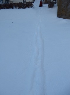 e0004756_20305064.jpg