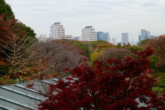 a0248459_15041468.jpg