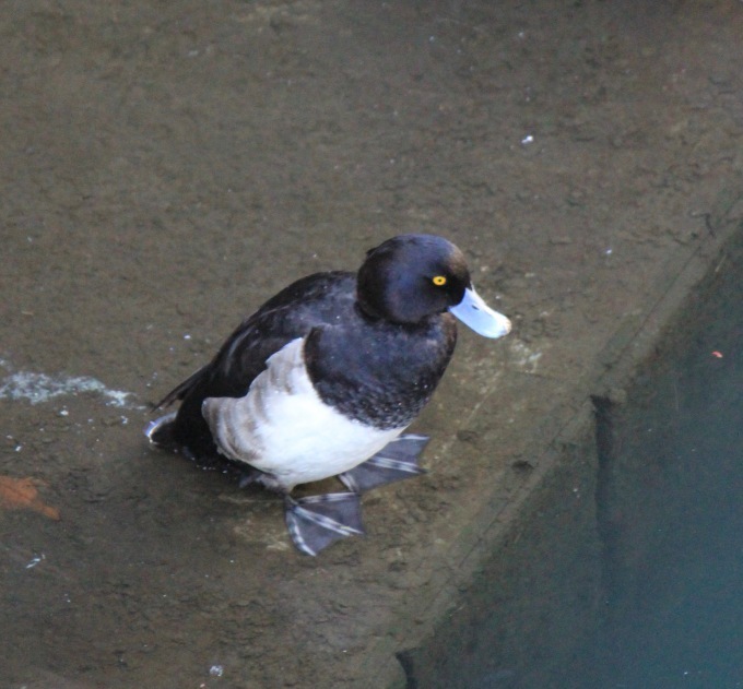 a0248459_15110108.jpg