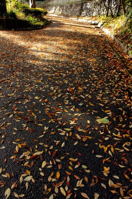 a0248459_15114495.jpg