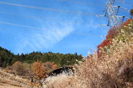 大屋山（南牧村）_a0208560_13191775.jpg