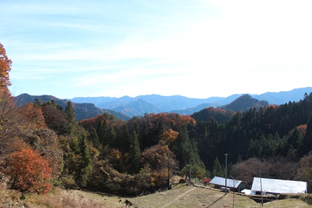 a0208560_1319345.jpg