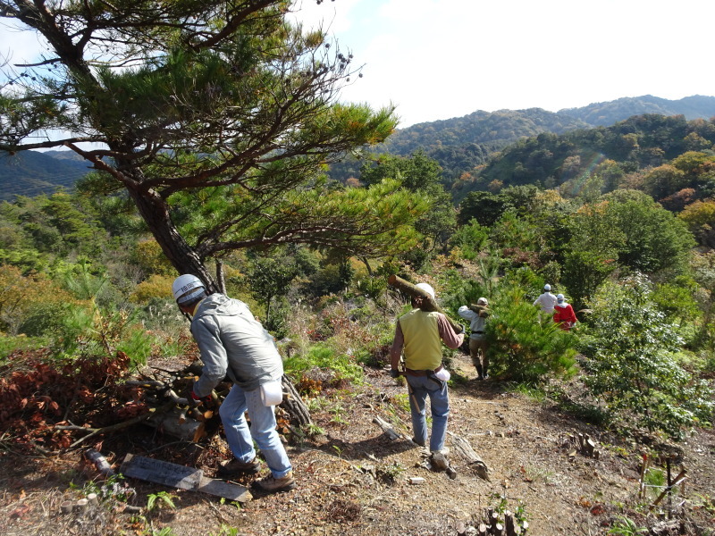 クヌギ谷直登ルート：新山道つくり調査　in　孝子の森_c0108460_20054618.jpg