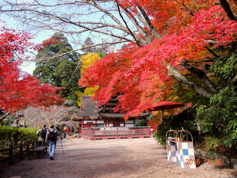 談山神社（たんざん）　Ｎｏ642_d0059661_12080790.jpg