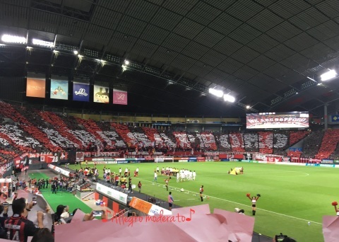 北海道コンサドーレ札幌　J1昇格！_d0240961_13094905.jpeg