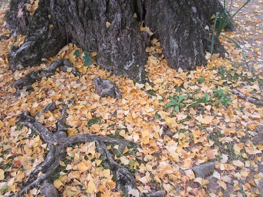 f0113862_18402512.jpg