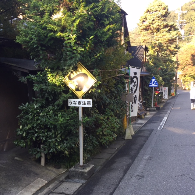 c0085163_12143918.jpg