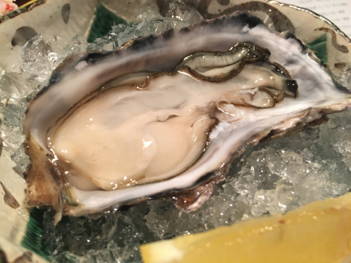 札幌 激ウマの和食やさん_c0151965_18443531.jpg
