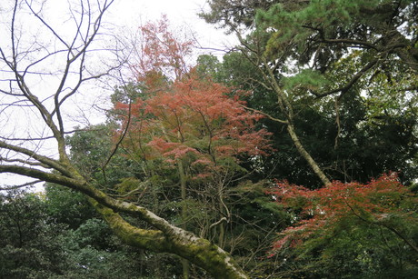 e0292172_20583811.jpg