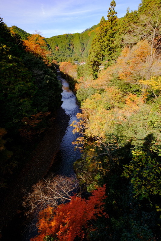 b0368075_07393124.jpg