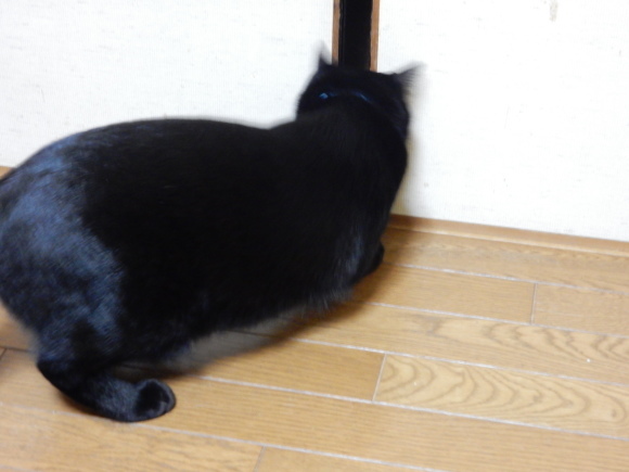 いま、一番欲しいもの_e0355177_12083313.jpg