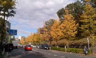 c0069380_12253494.jpg