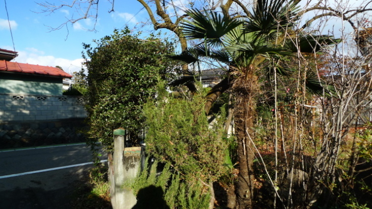 c0212083_16571644.jpg