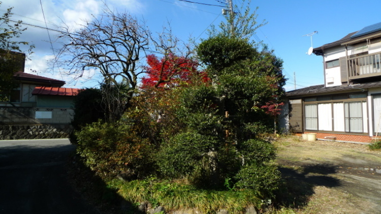 c0212083_16580736.jpg