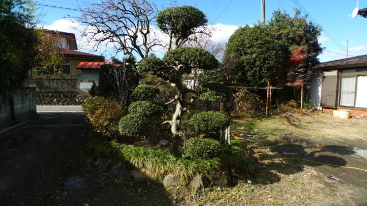c0212083_16581917.jpg