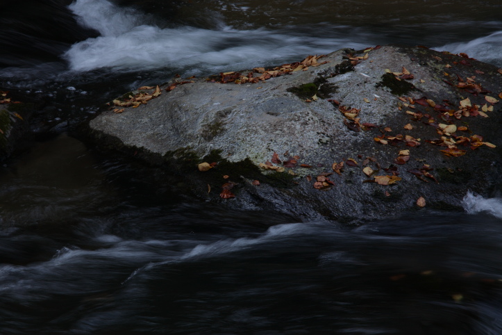 e0165983_1222712.jpg