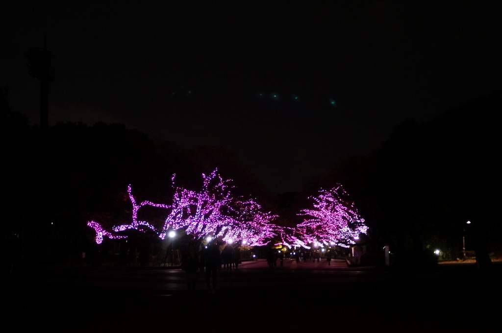 根津から谷中へ。_c0180686_10344850.jpg