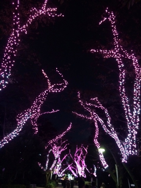 c0180686_10361530.jpg
