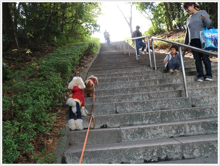 この季節、一度は歩きたいね高尾山自然公園 完結で~す_b0175688_15085406.jpg
