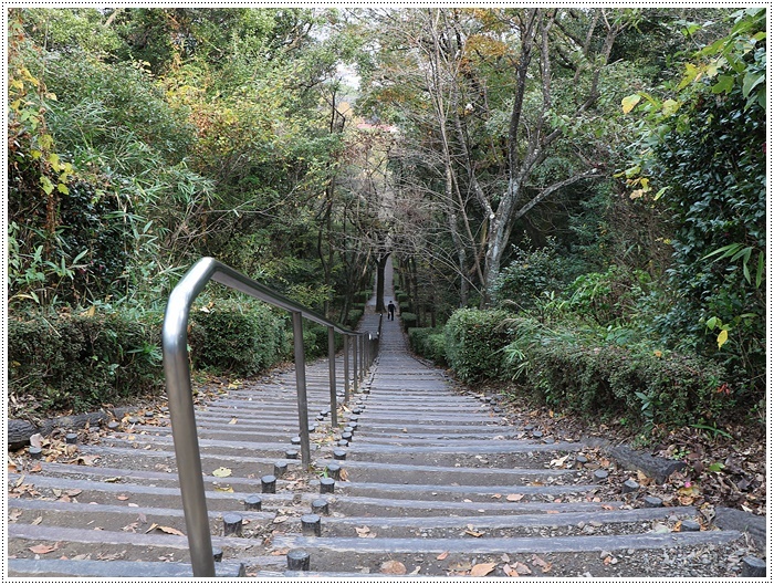 この季節、一度は歩きたいね高尾山自然公園 完結で~す_b0175688_15132390.jpg