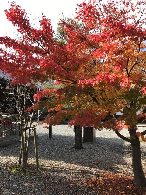 京都_f0204295_11245157.jpg