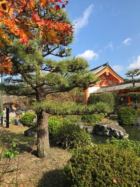京都_f0204295_11260336.jpg