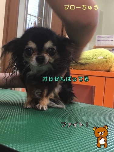 d0269898_22445020.jpeg